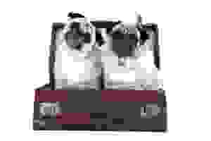 Pet Shipping – international pets relocation